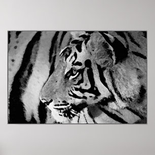 Black & White Tiger Poster Print