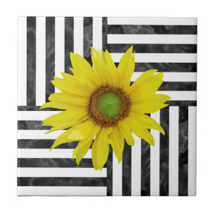 Black White Watercolor Block Stripes com girassol