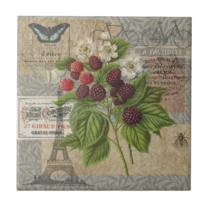 Blackberry Floral Garden Fllower Butfly Art