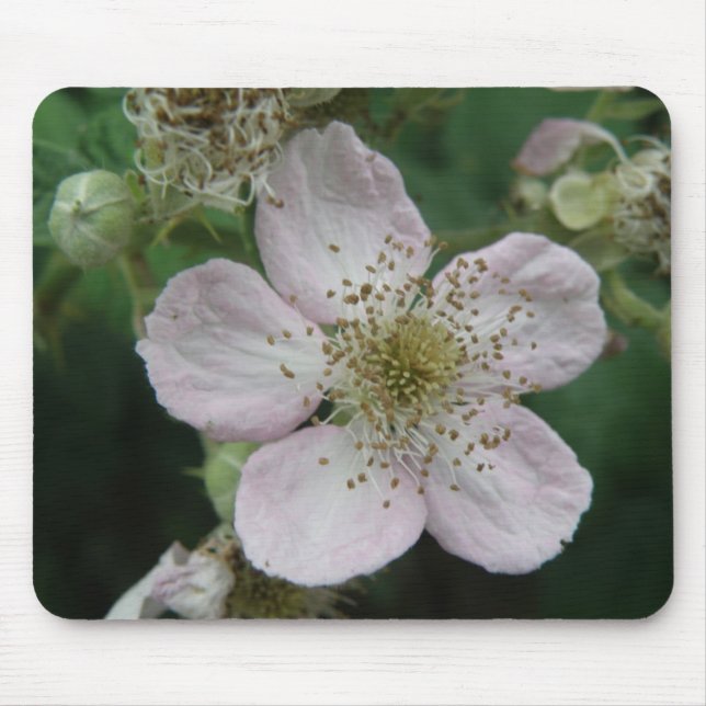 Blackberry Flower Macro Mousepad (Frente)