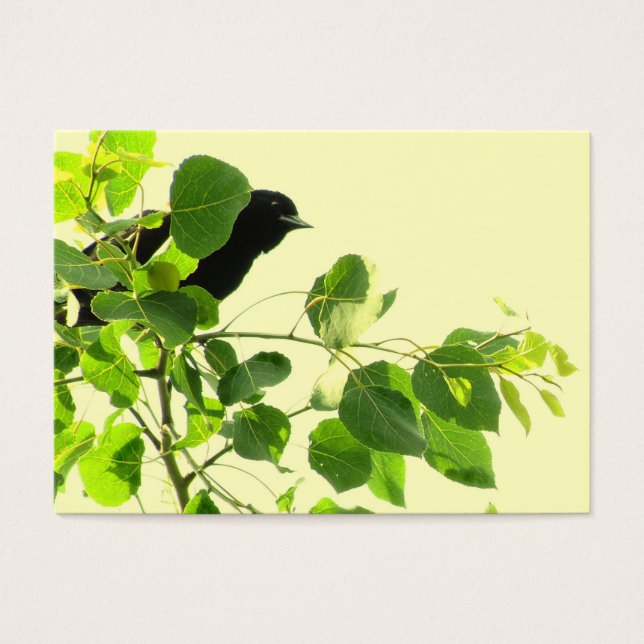 Blackbird ATC (Frente)