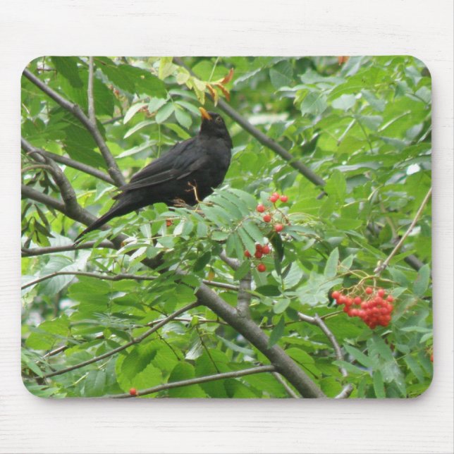 Blackbird e Berries Mousepad (Frente)