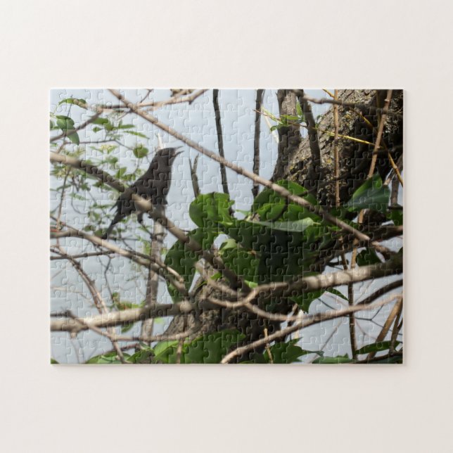 Blackbird Singing Jigsee Quebra-cabeça (Horizontal)