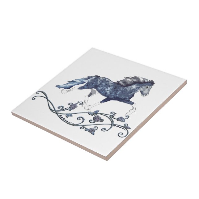 Blámóða (Lateral)