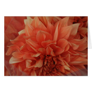 *Blank vermelho do cartão da flor