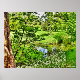 Blarney Greenwood Impressão