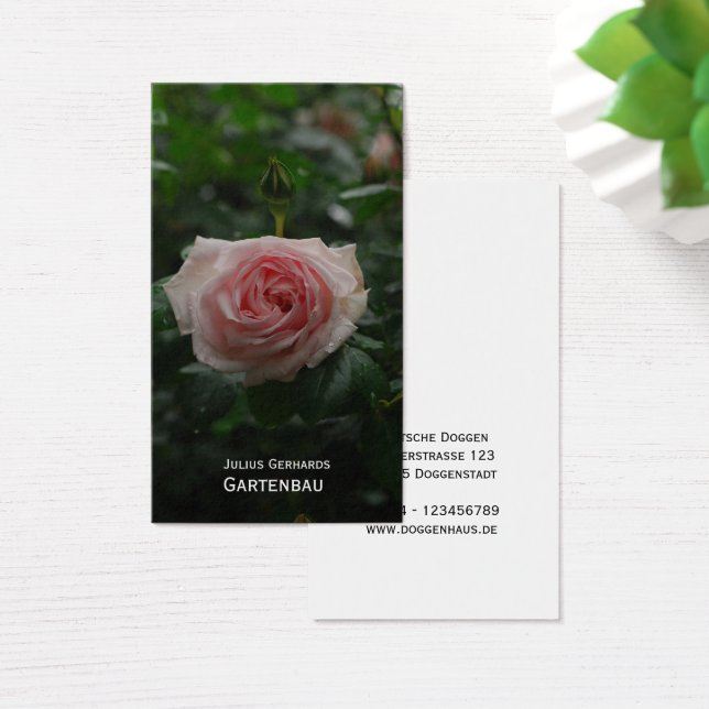 Blau und frei (Mesa)