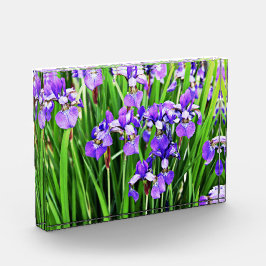 Bloco Acrílico de Íris Roxo