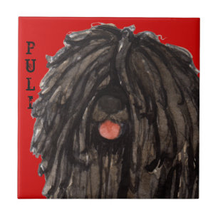 Bloco da cor de Puli