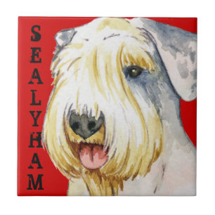 Bloco da cor de Sealyham Terrier