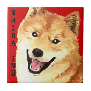 Bloco da cor de Shiba Inu