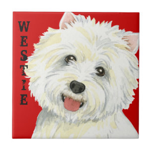 Bloco da cor de Westie