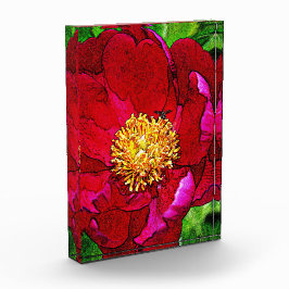 Bloco de Acrilato de Peony Rosa
