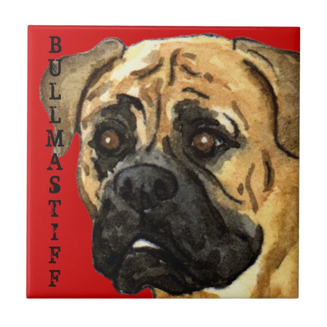 Bloco de Cor do Bullmastiff (Frente)