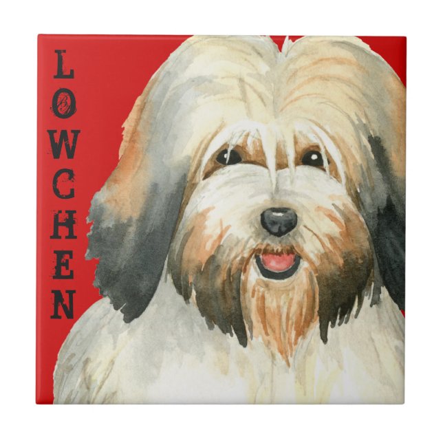 Bloco de cores da cozinha (Frente)