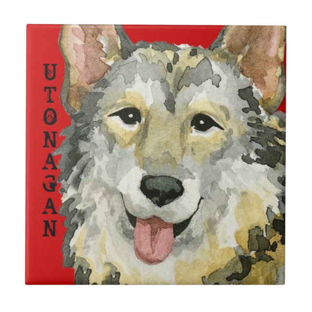 Bloco de Cores Utonagan (Frente)