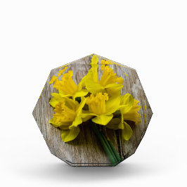 Bloco de Fotografias de Daffodils Amarelo
