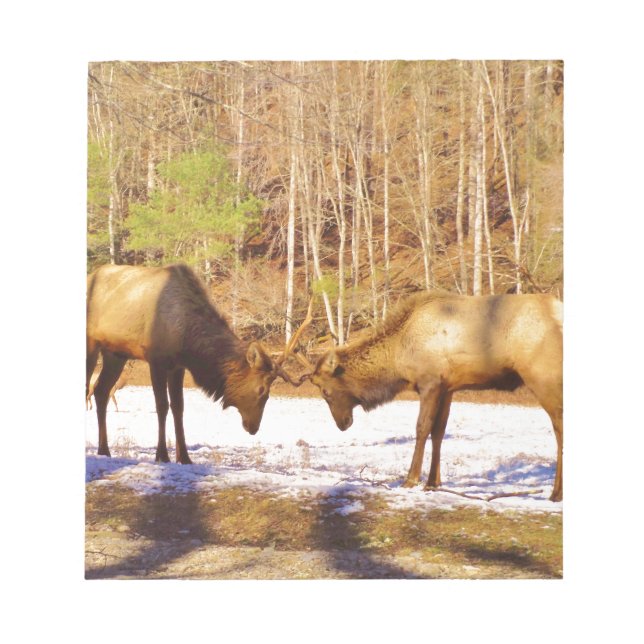 Bloco De Notas 2~ 2 Bull Elk na neve (Frente)