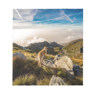 Bloco De Notas A jornada