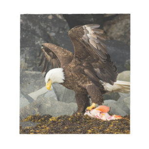 Bloco De Notas A Última Águia Bald