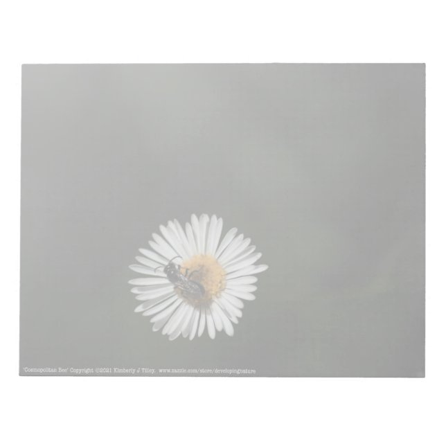 Bloco De Notas Abelha Cosmopolita (Frente)