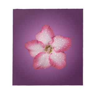 Bloco De Notas Adenium Flor Flora Gradiente Violeta Rosa