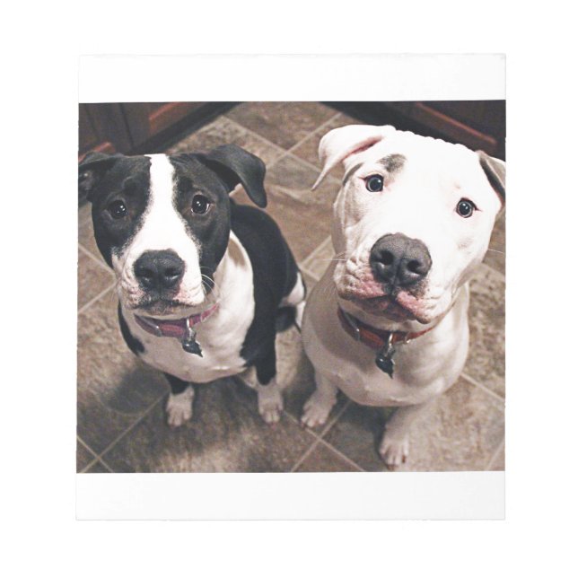 Bloco De Notas adoráveis filhotes de pitbull cachorros (Frente)