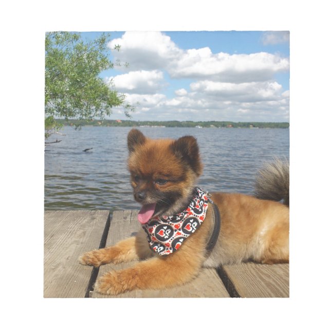 Bloco De Notas Adorável cachorro spitz anão peludo (Frente)