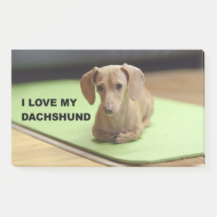 Bloco De Notas Adoro o meu Cream Dachshund com uma fotografia