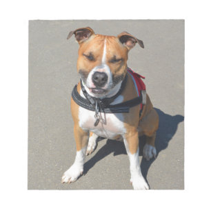 Bloco De Notas Adulto Americano Staffordshire Terrier Dog