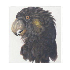 Bloco De Notas Aert Schouman Bird Head