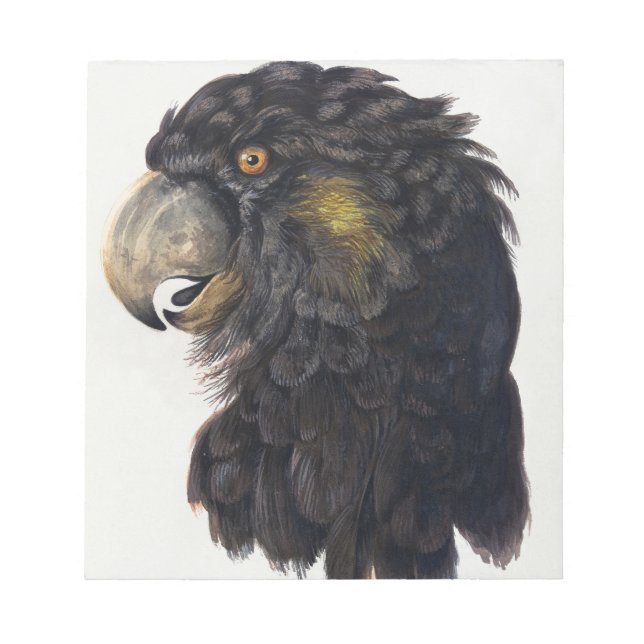 Bloco De Notas Aert Schouman Bird Head (Frente)