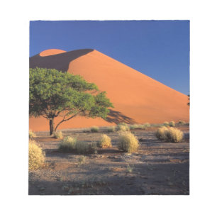 Bloco De Notas África, Namíbia, Parque Namibe-Naukluft, Sossosvle