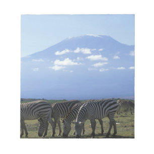 Bloco De Notas África, Quênia, Parque Nacional de Amboseli, Manad