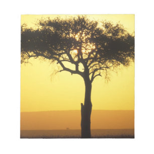 Bloco De Notas África, Quênia, Reserva de Caça Masai Mara, Nascen