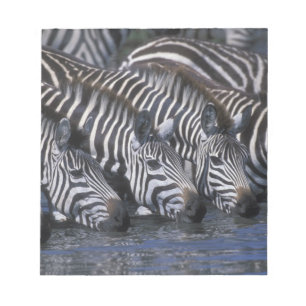 Bloco De Notas África, Quênia, Reserva de Caça Masai Mara, Planíc