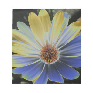 Bloco De Notas African Daisy Lapis e Dourado Notepad