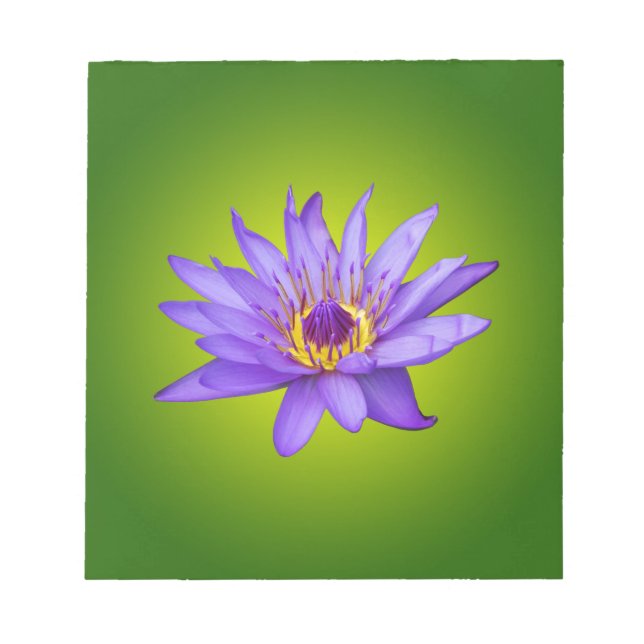 Bloco De Notas Água Lily Flower Pond Aquático Púrpura Água Bloque (Frente)
