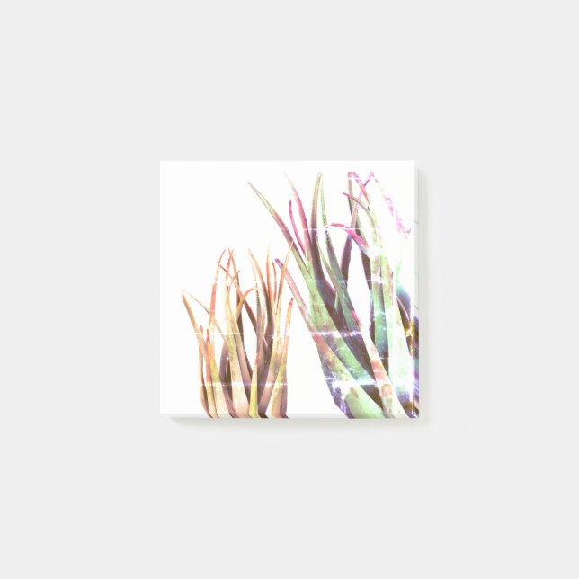 Bloco De Notas ALoe Vera, Notas de Arte (Frente)