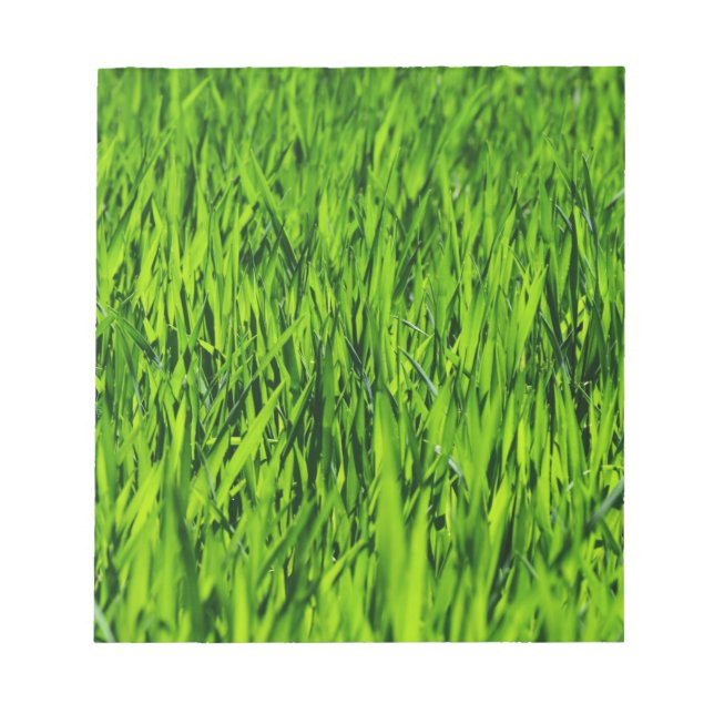 Bloco De Notas Altas lâminas de grama (Frente)