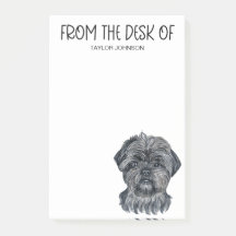 Amante do Affenpinscher