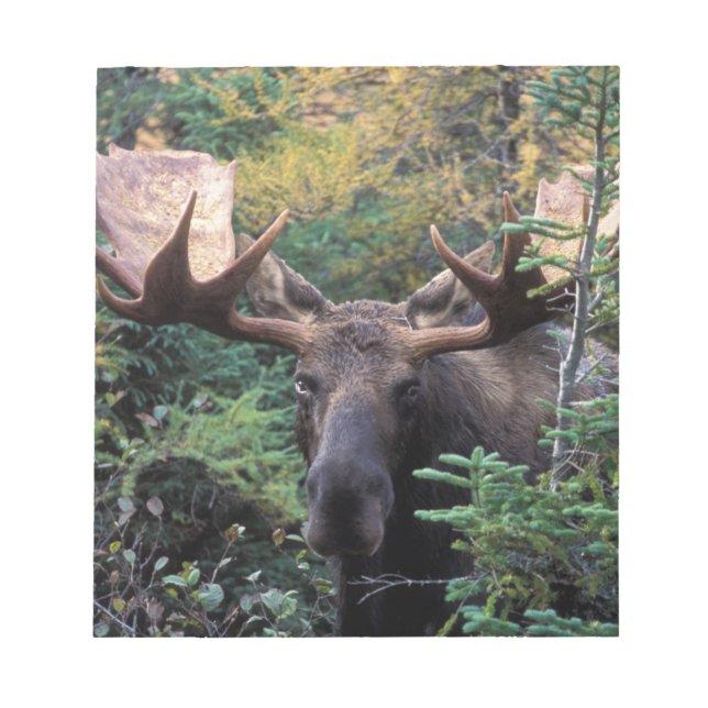 Bloco De Notas América do Norte, Canadá, Nova Escócia, Cabo Bretã (Frente)