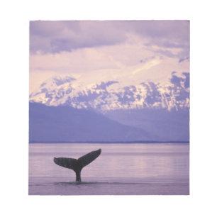 Bloco De Notas América do Norte, EUA, Alasca, Dentro Passage.