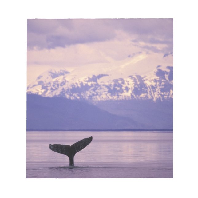 Bloco De Notas América do Norte, EUA, Alasca, Dentro Passage. (Frente)