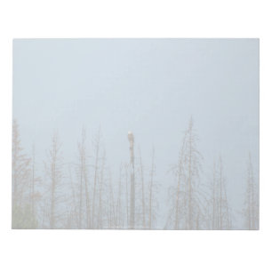 Bloco De Notas American Bald Eagle 8974