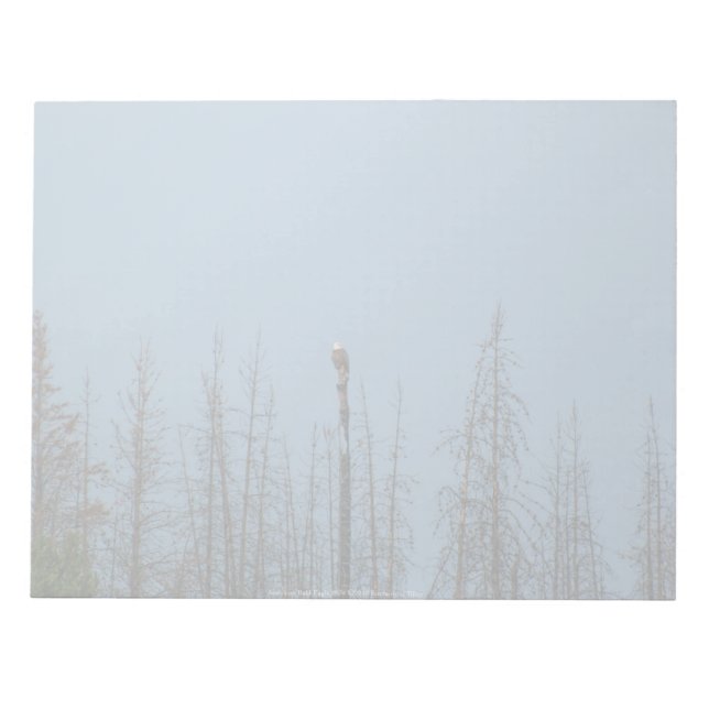Bloco De Notas American Bald Eagle 8974 (Frente)