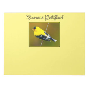 Bloco De Notas American Goldfinch - Fotografia original
