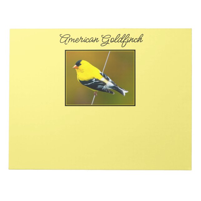 Bloco De Notas American Goldfinch - Fotografia original (Frente)