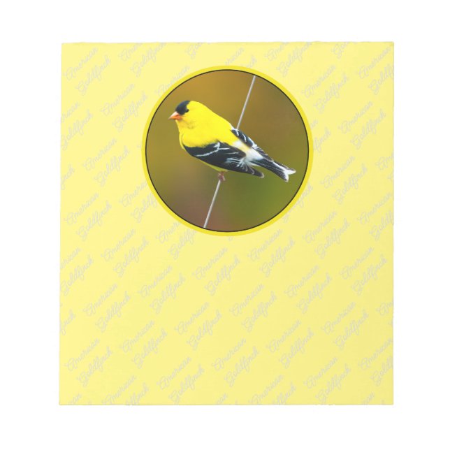 Bloco De Notas American Goldfinch - Fotografia original (Frente)
