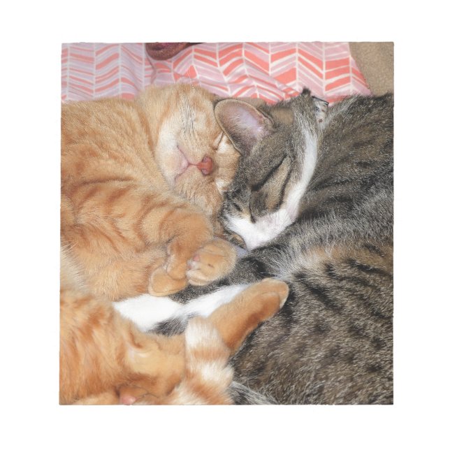 Bloco De Notas Amigos do Nap (Frente)